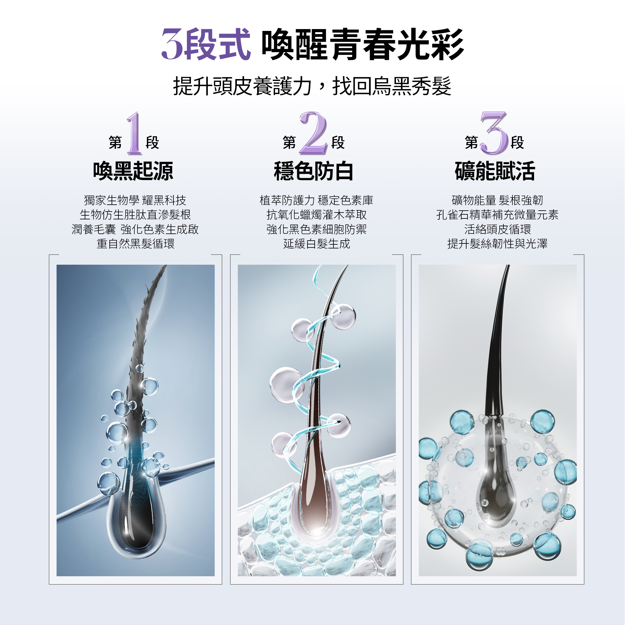 微導再生賦活奇肌 MR雪絨花抗白耀黑菁萃