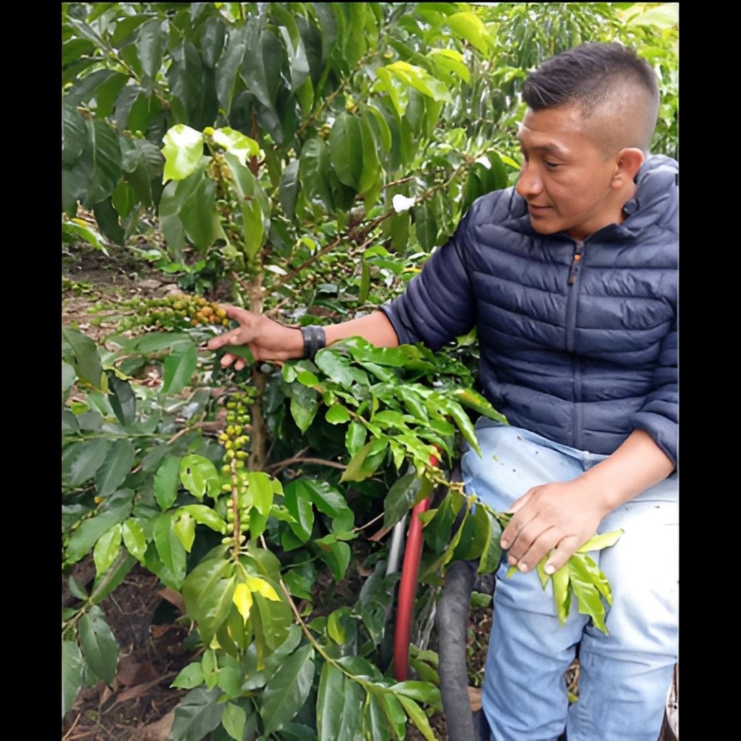 GBP092 哥倫比亞 愛在無言中種植 水洗