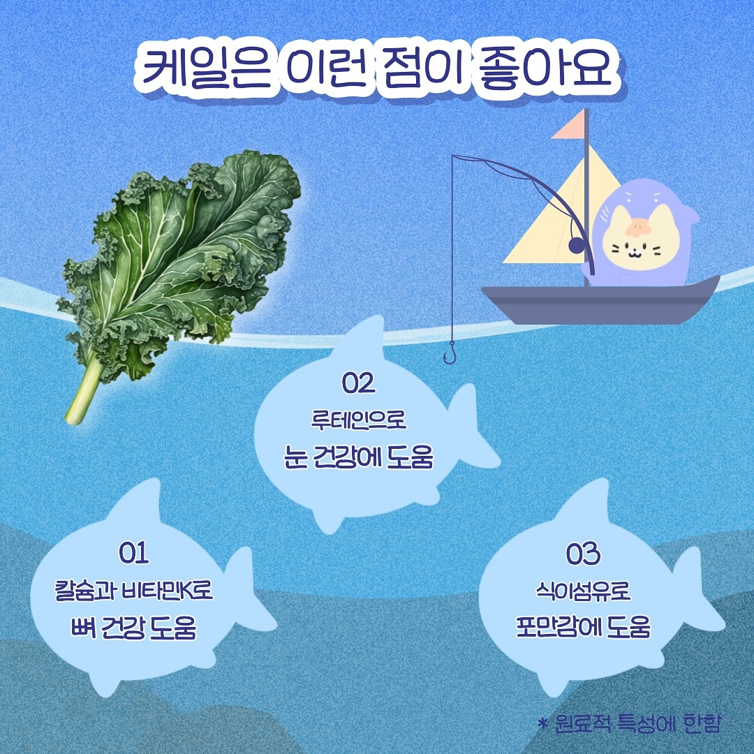 韓國 Seagem 油甘魚貓狗肉泥 (關節保健)