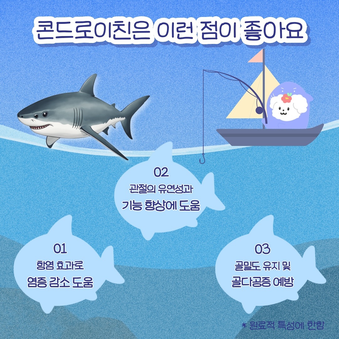 韓國 Seagem 油甘魚貓狗肉泥 (關節保健)