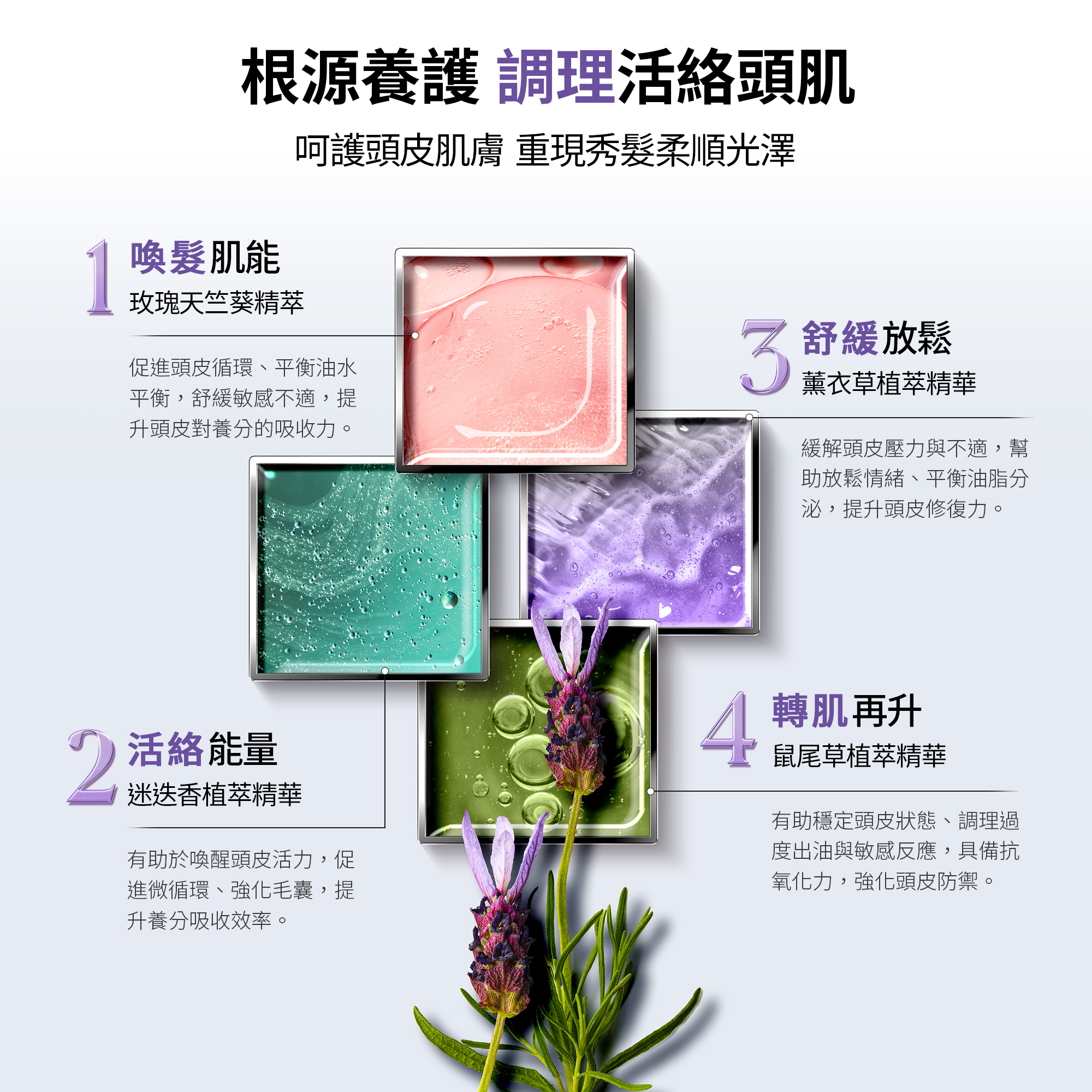 微導再生賦活奇肌 MR活絡森髮複方精油