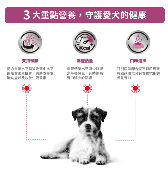 Royal Canin - 獸醫配方 - Renal For (Small Dog) 小型成犬腎臟處方乾糧 1.5kg