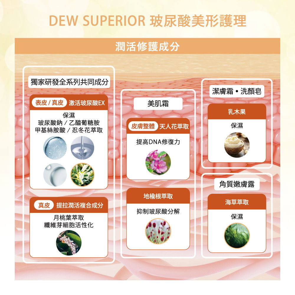 Kanebo 佳麗寶DEWS 潤活修護洗顏皂125g|TFM東方美集團