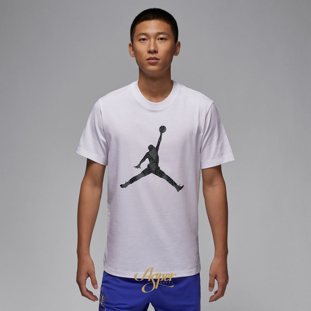 NIKE DRY JORDAN SPORT 蛇紋LOGO 運動短袖 HJ2863-102 IX