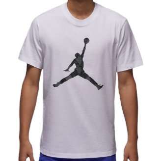 NIKE DRY JORDAN SPORT 蛇紋LOGO 運動短袖 HJ2863-102 IX