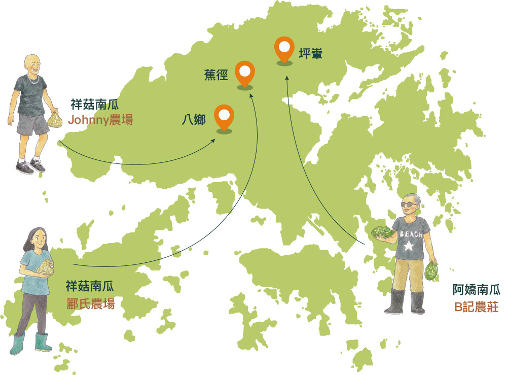 南瓜來自本地三大農場