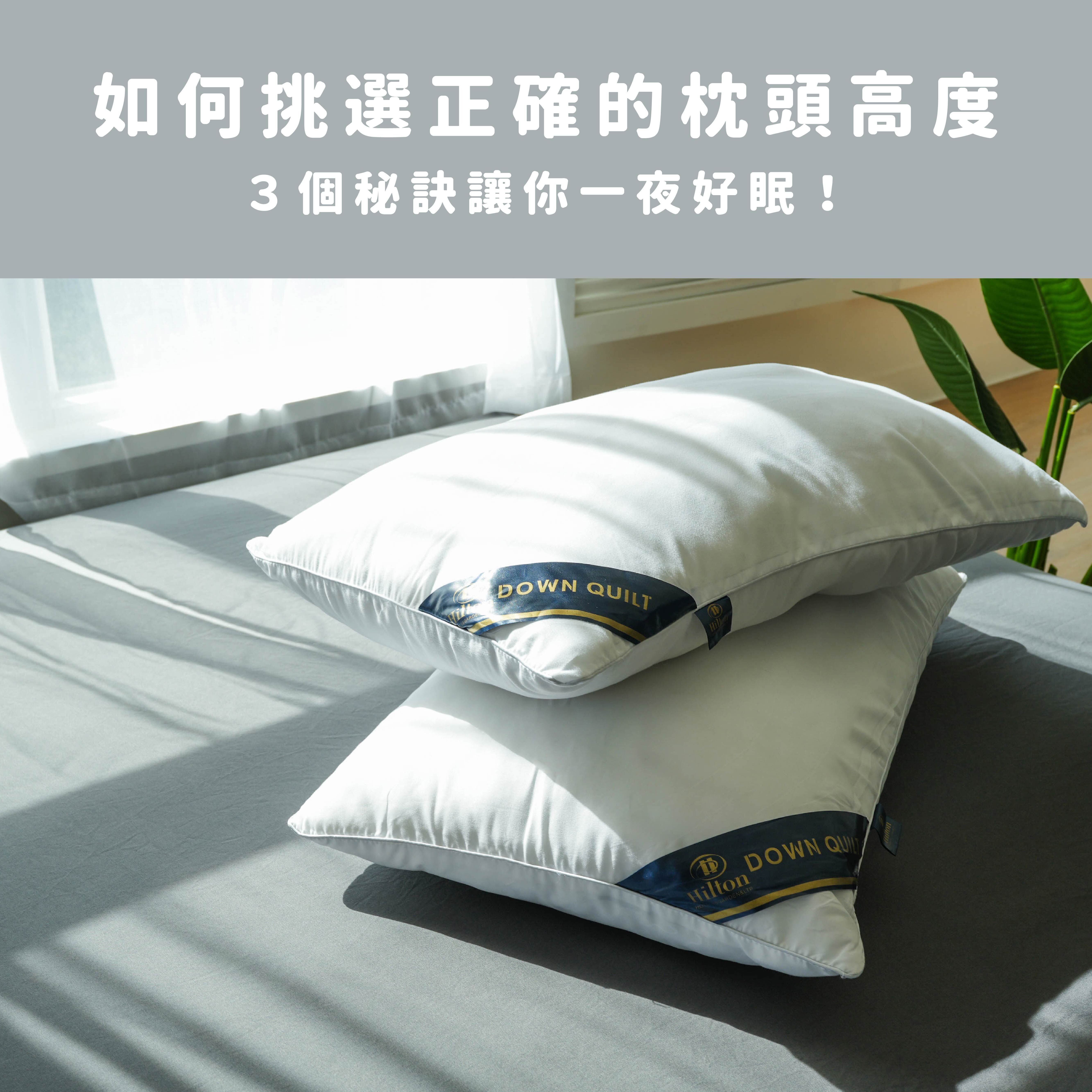 如何挑選正確的枕頭高度，３個秘訣讓你一夜好眠！