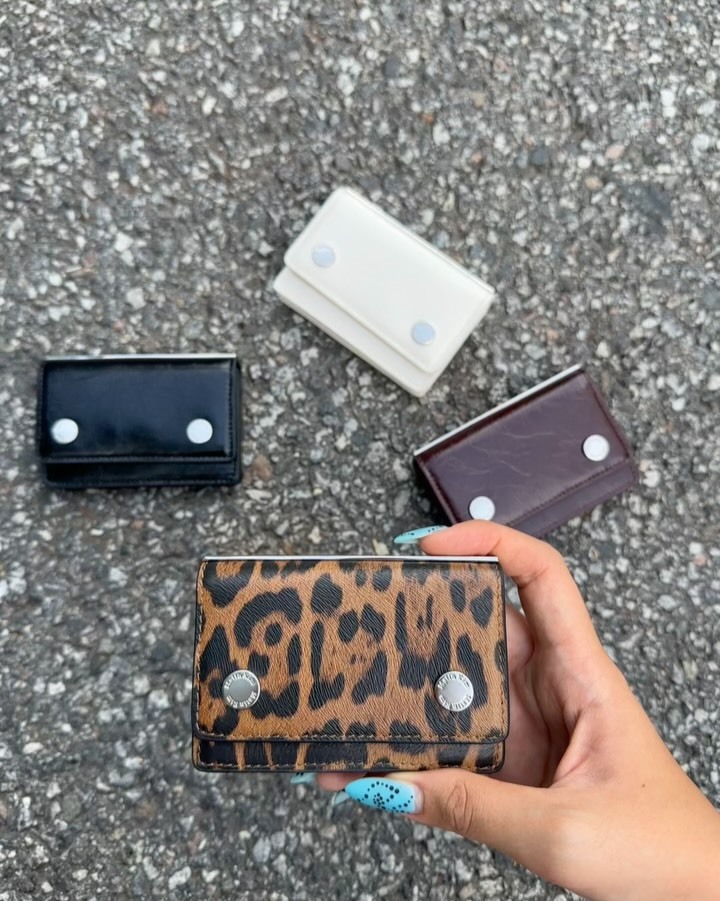 POCKETPACK ACCORDION WALLET