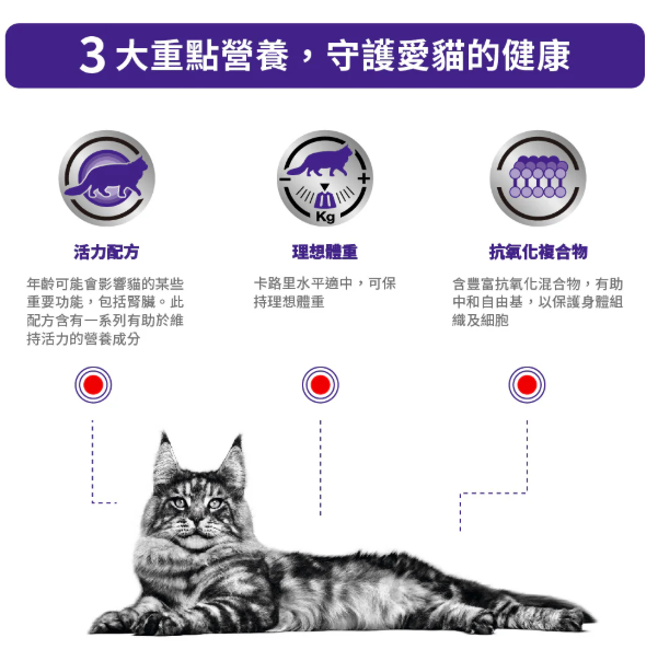 Royal Canin - 獸醫配方 - Mature Consult *Balance*(Loaf)  老年貓均衡處方濕包 (肉塊) 85g (原箱12包)