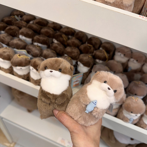 韓國 首爾弘大/延南洞 人氣選物店 Gleaming Day 水獺寶寶 配件