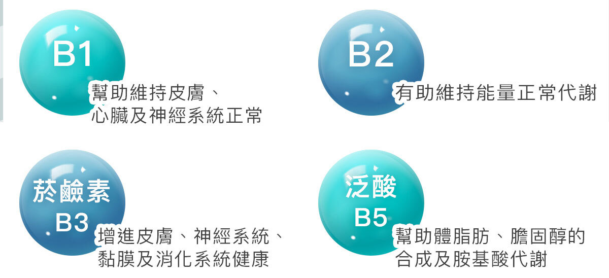 男性專門補充-天然酵母B群-10