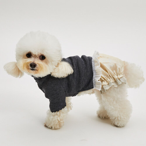 Louisdog 灰色細語高領衫