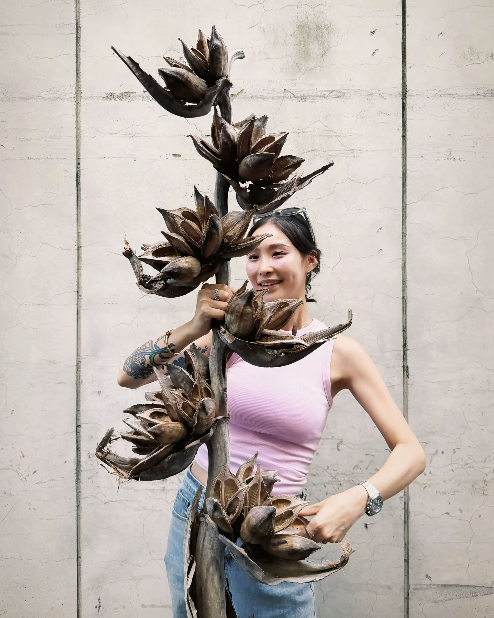 巴西乾燥椰子樹