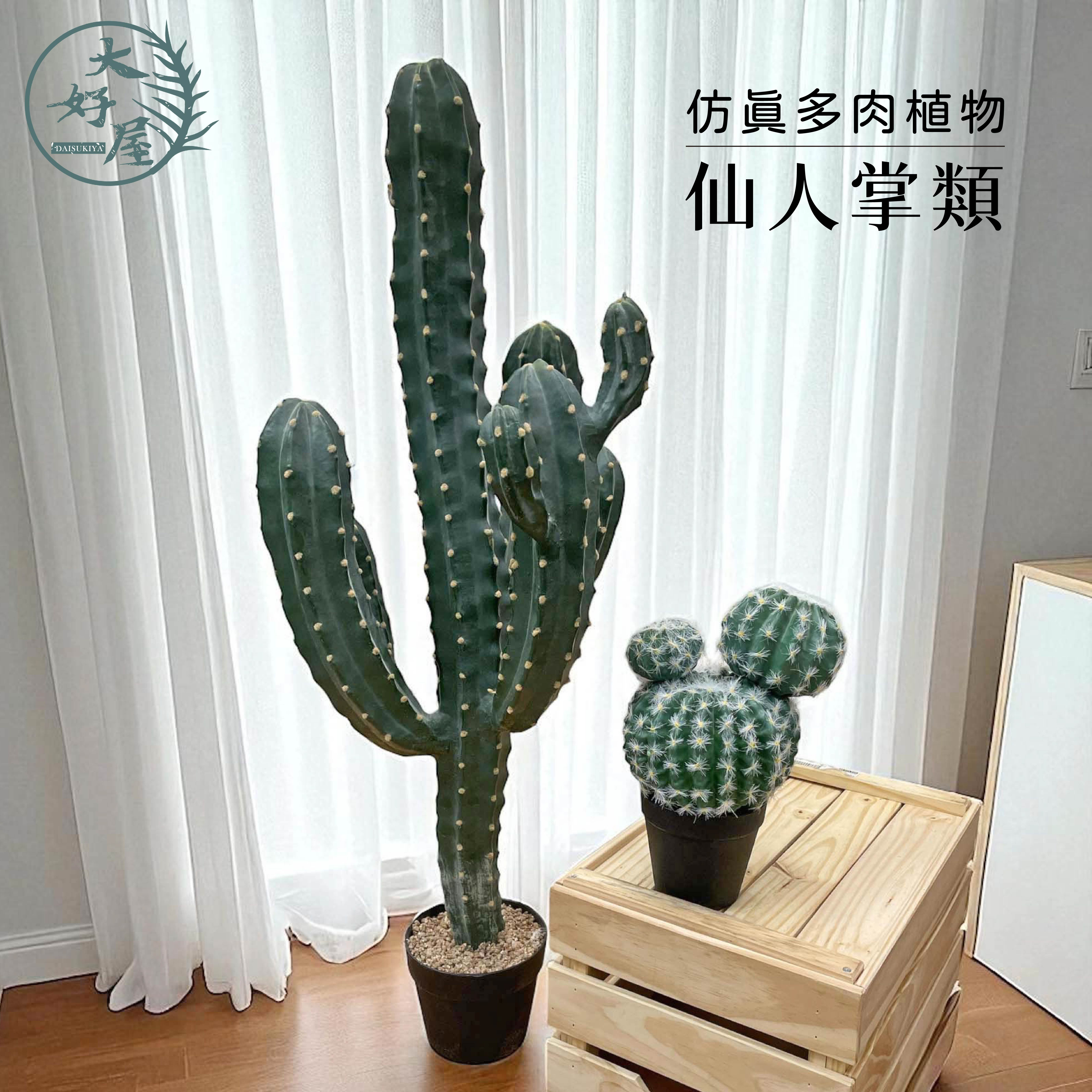 仿真多肉植物-仙人掌類