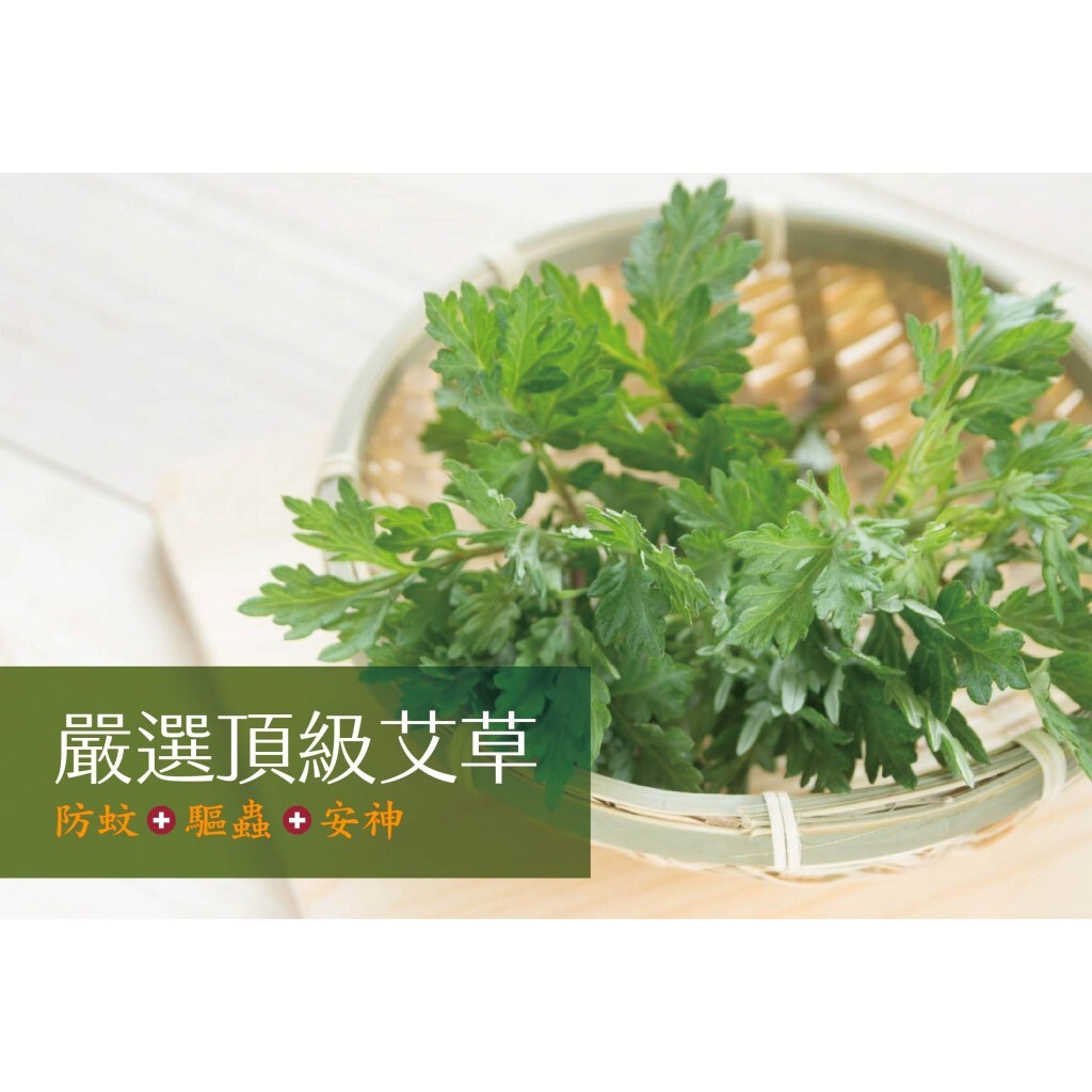 正好天然艾草小盤香 48片