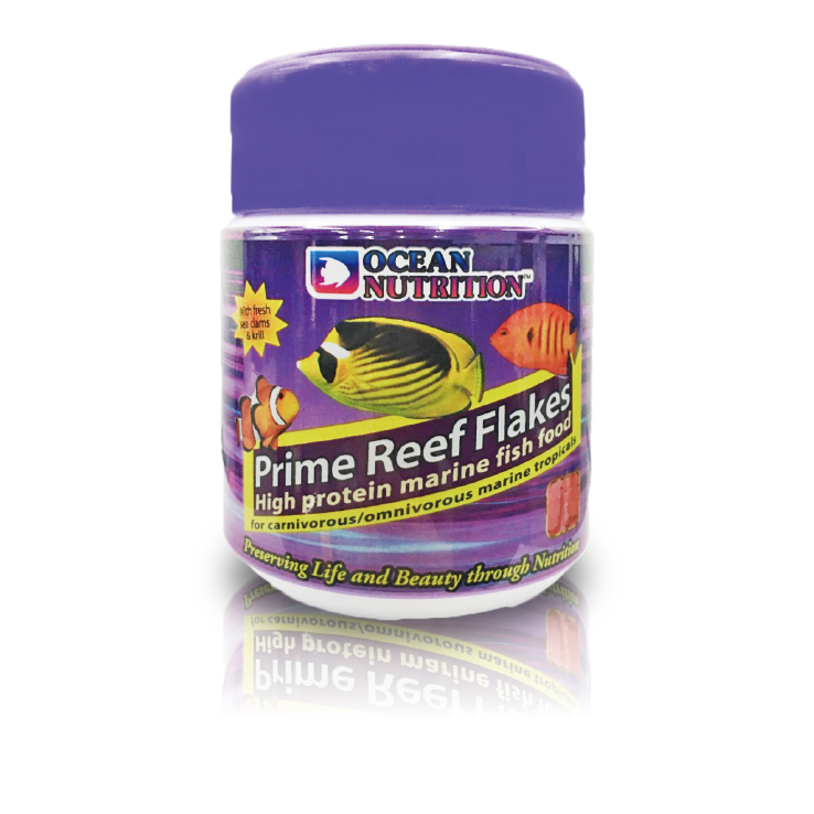 美國Ocean Nutrition營養大師 頂級海水魚 薄片飼料 34g