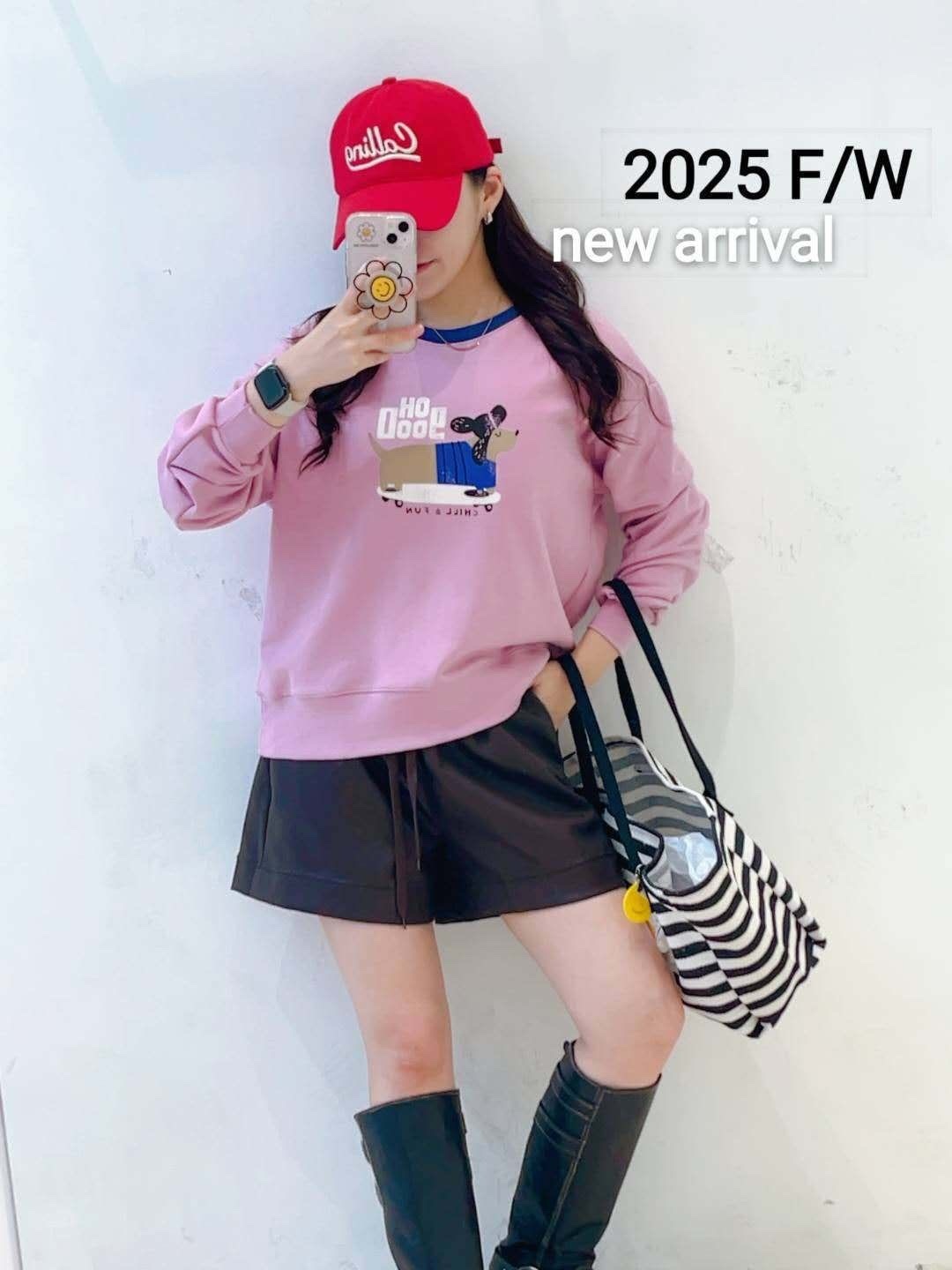 韓國狗仔圖top~109AC