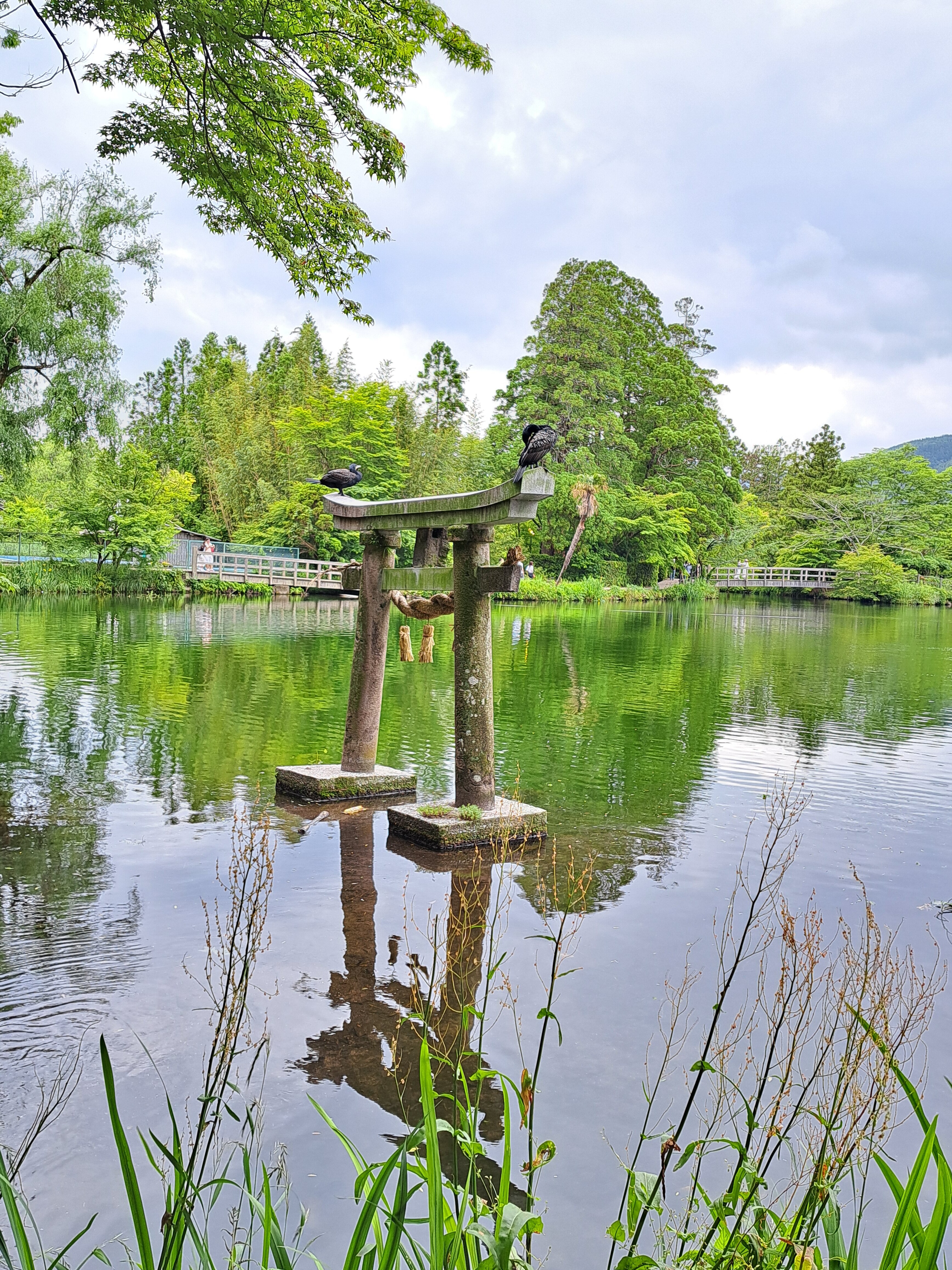 PO-28675 預購商品