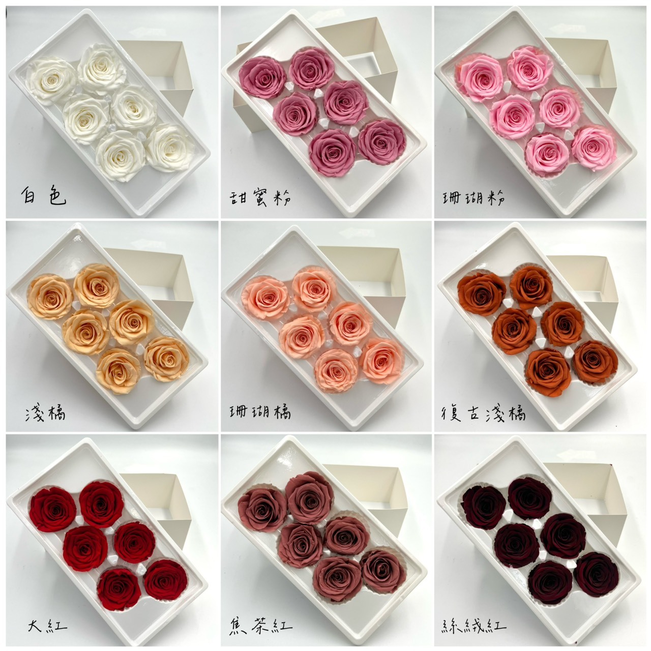 不凋玫瑰花6朵