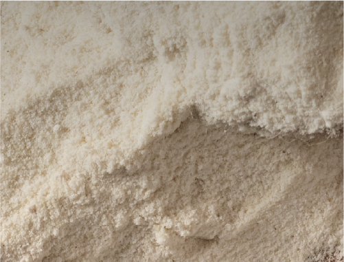 TWK10®專利植物乳桿菌