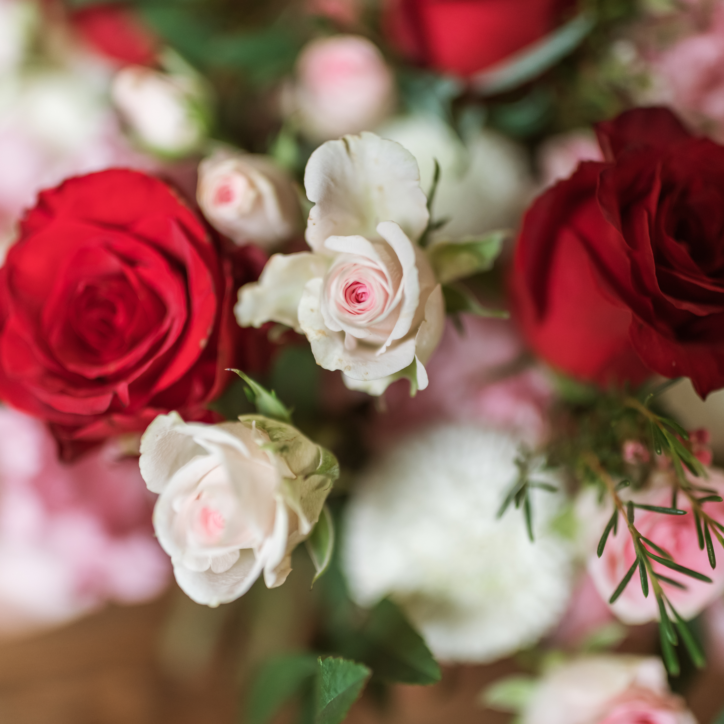 紅羽相守 | 鮮花捧花