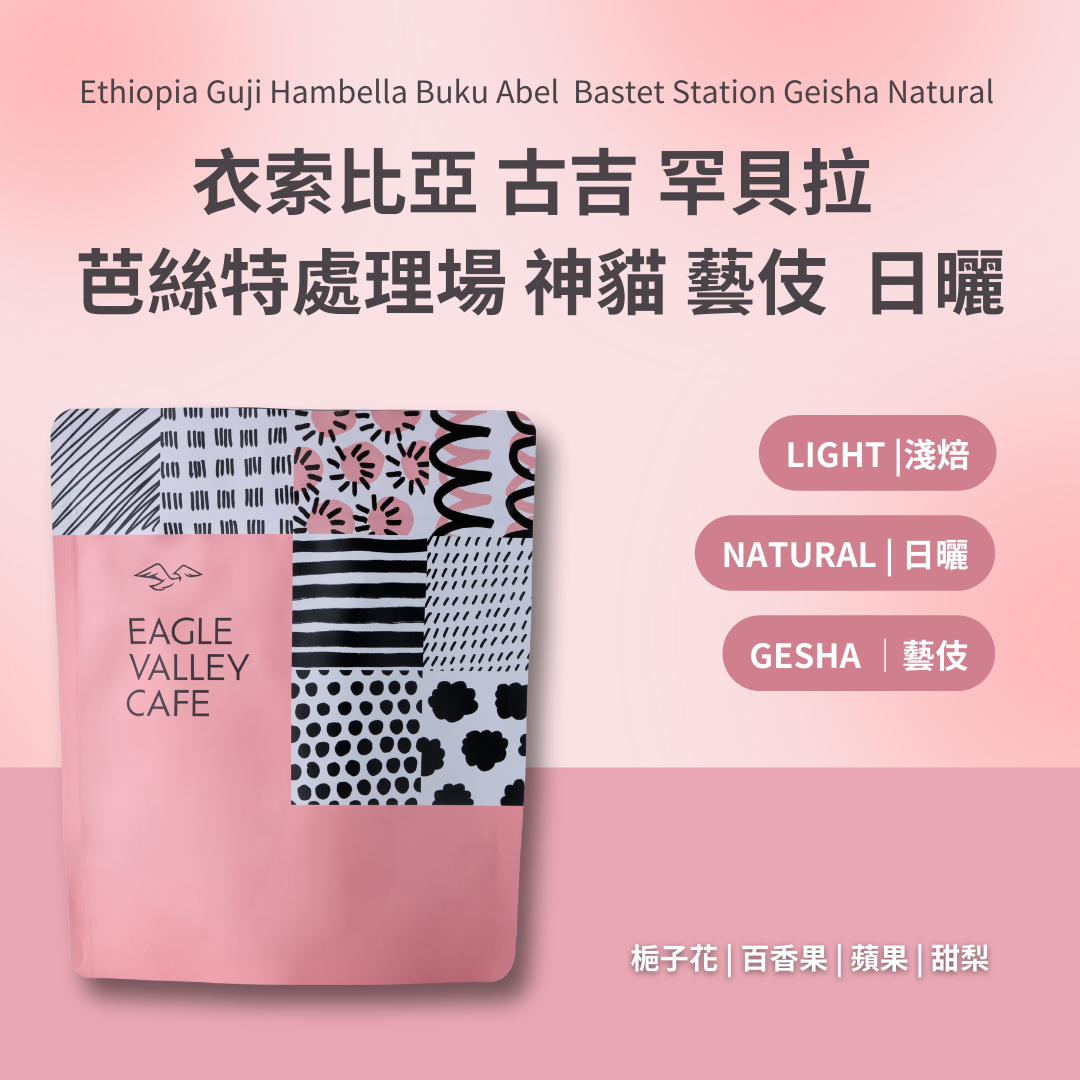 衣索比亞 古吉 罕貝拉 布穀阿貝兒 芭絲特 神貓 藝伎 日曬