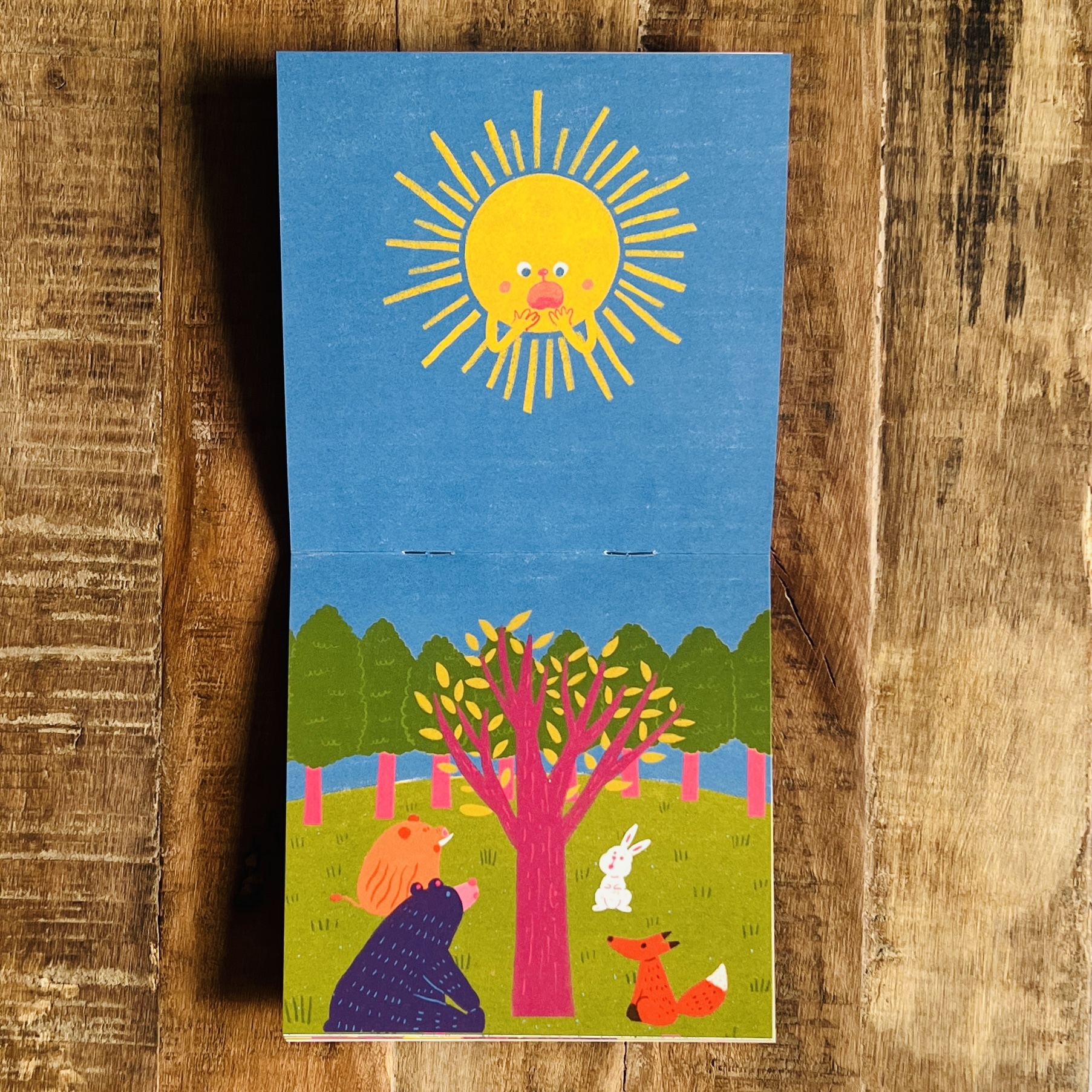 Sun and Apple/插畫小書/繪本