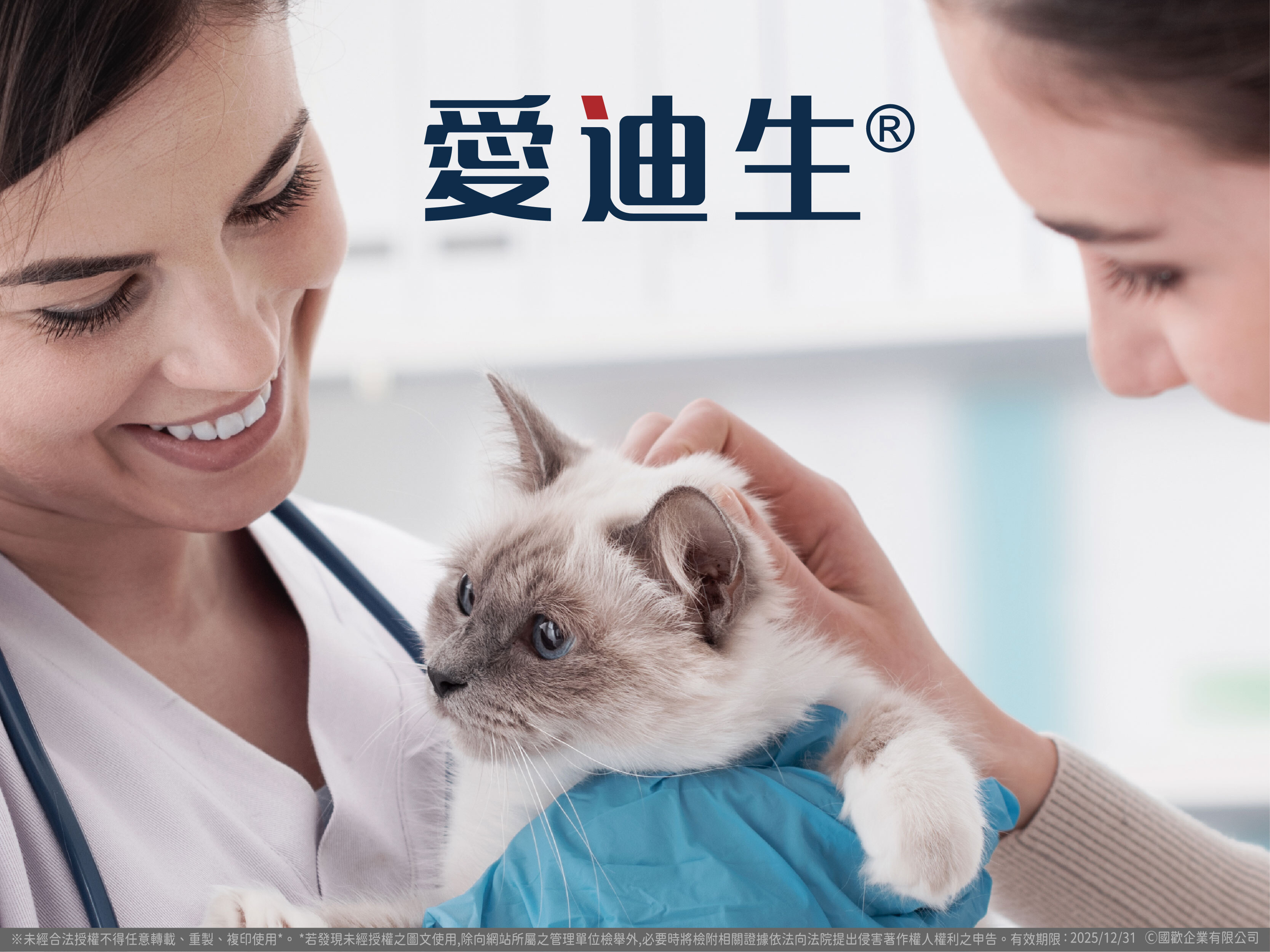 愛迪生 關節骨力錠