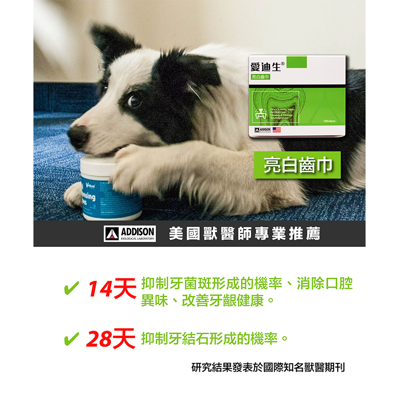 愛迪生 亮白齒巾