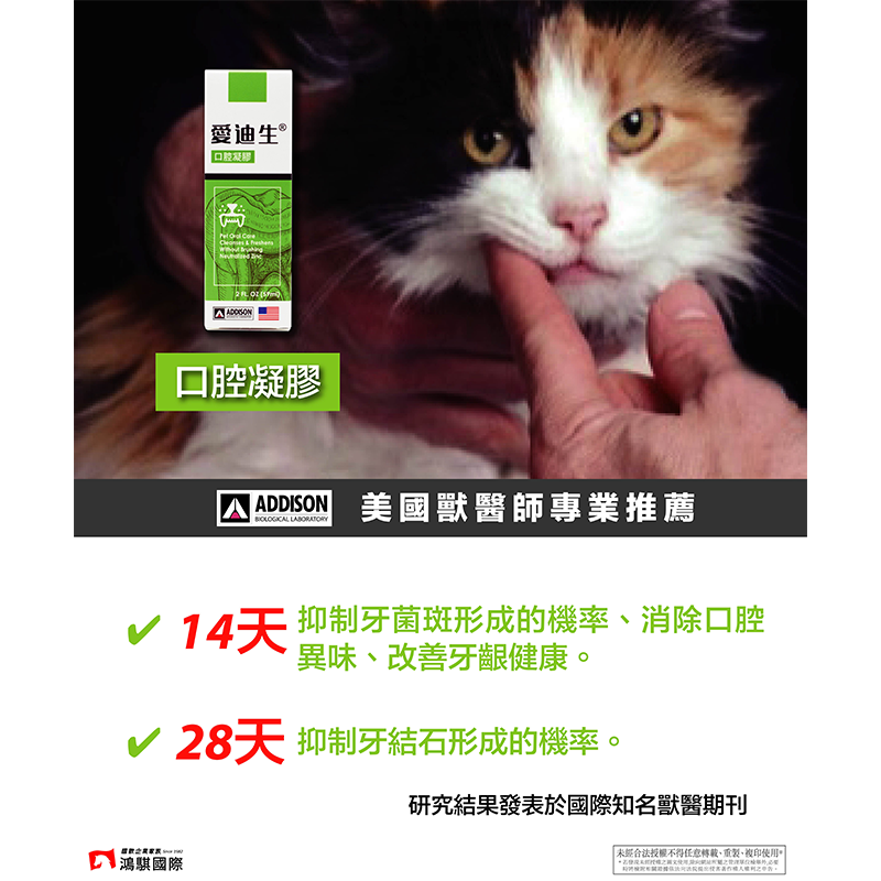 愛迪生 口腔凝膠