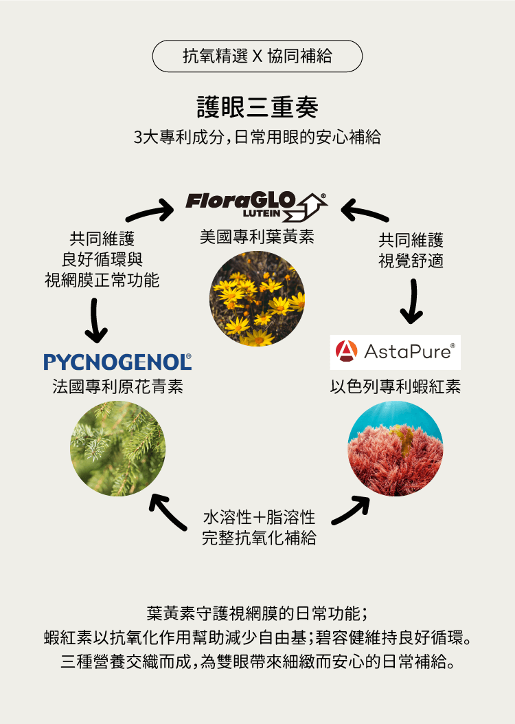 潤晶萃含3大專利護眼營養素-CHEGO營養補給
