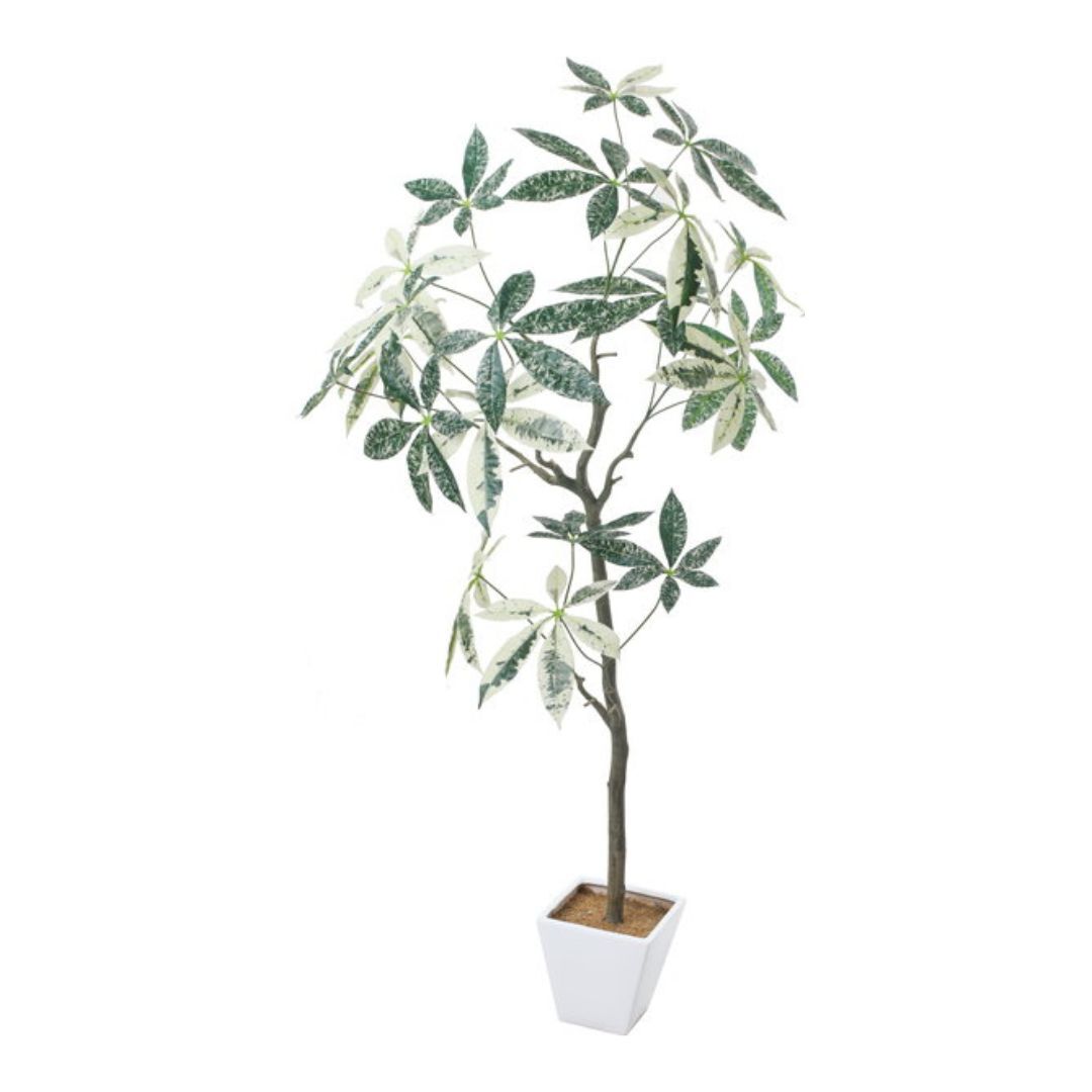 擬真樹 斑葉發財樹盆栽 138cm