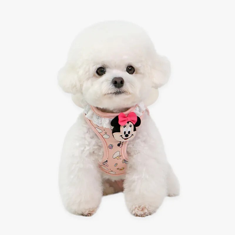 迪士尼正版授權｜Baby Friends 米妮天使胸背帶