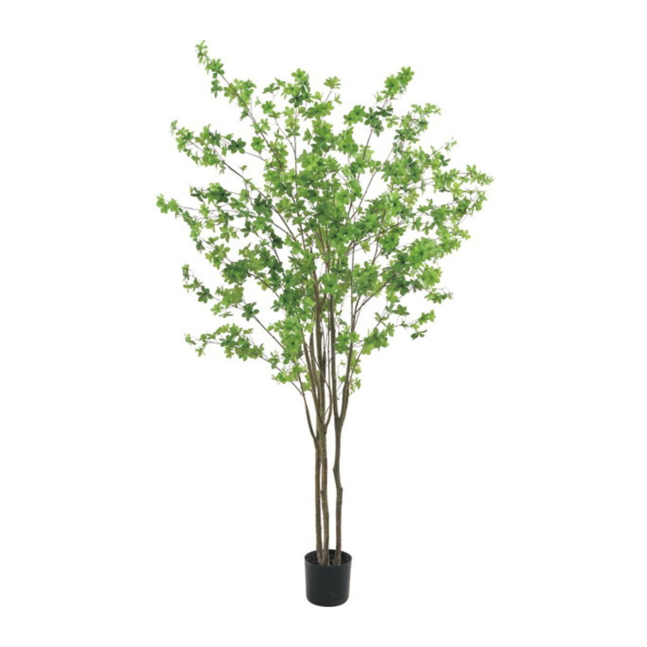 擬真樹 日本吊鐘 190cm