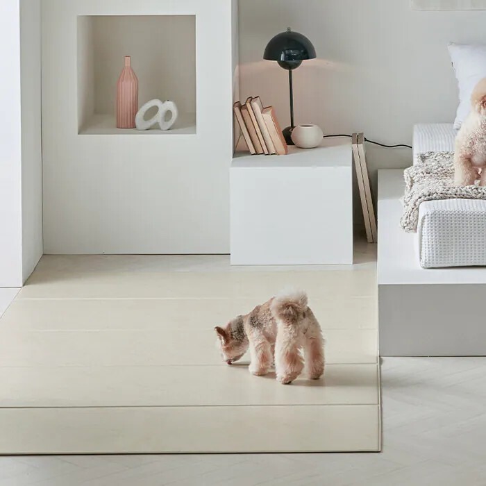 Pupping 漫步｜摺疊式防水寵物墊