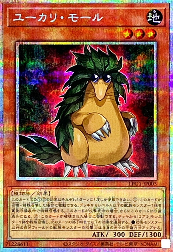 LPG1-JP003  (UR/SER/PSER)ユーカリ・モール (尤加利鼴鼠)