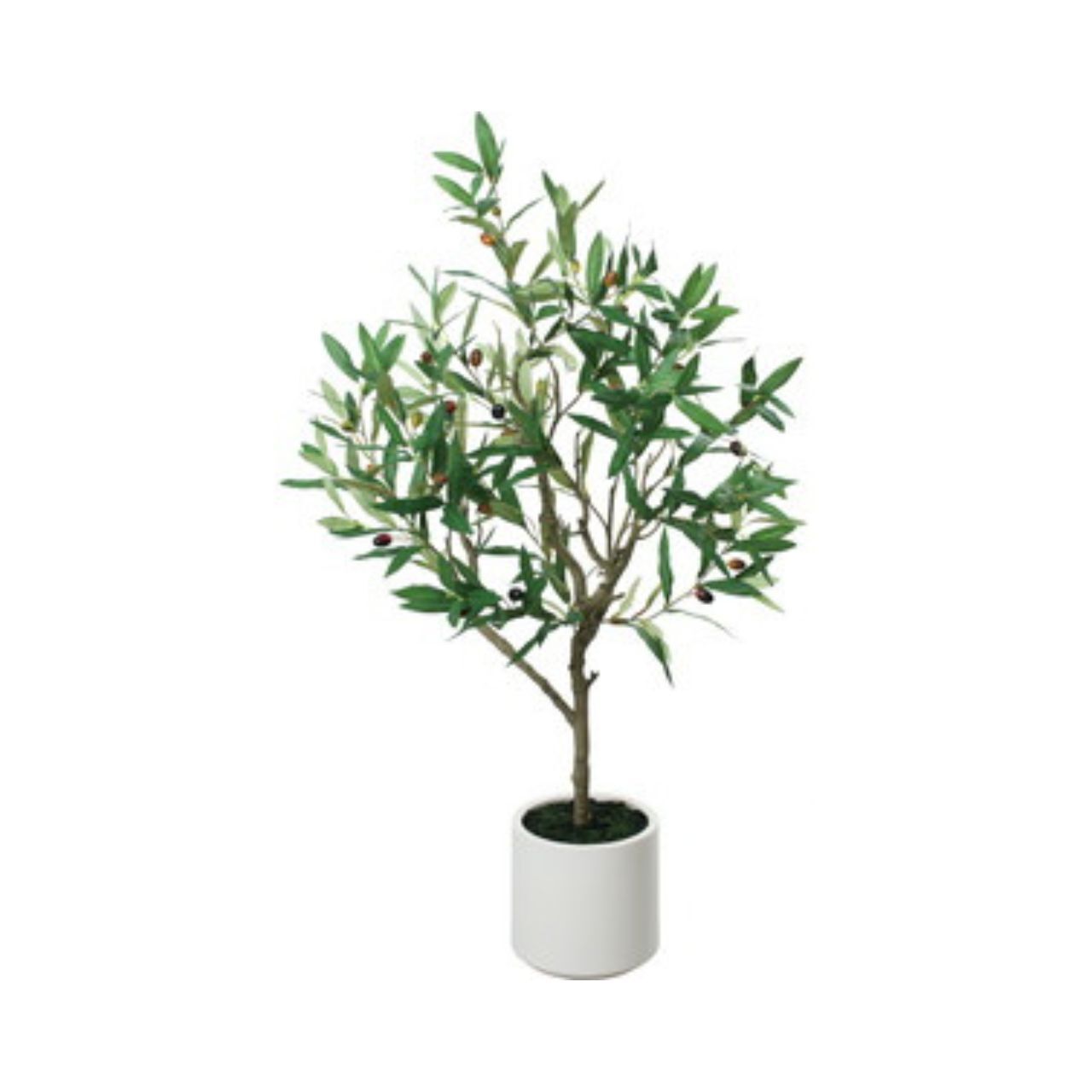 擬真樹 橄欖樹盆栽 110cm