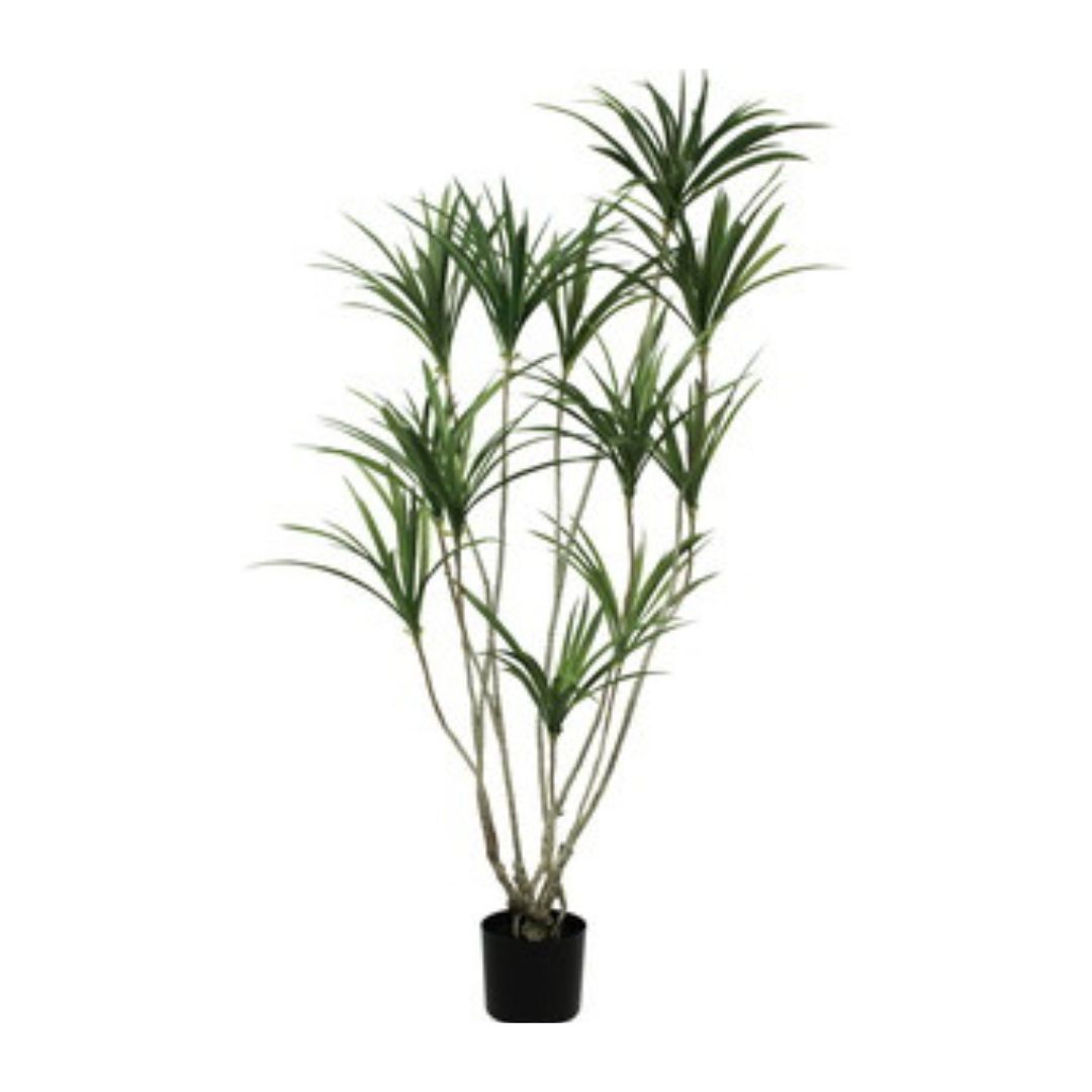 擬真樹 龍血樹 140cm