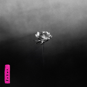 Little Simz《Lotus》（CD）