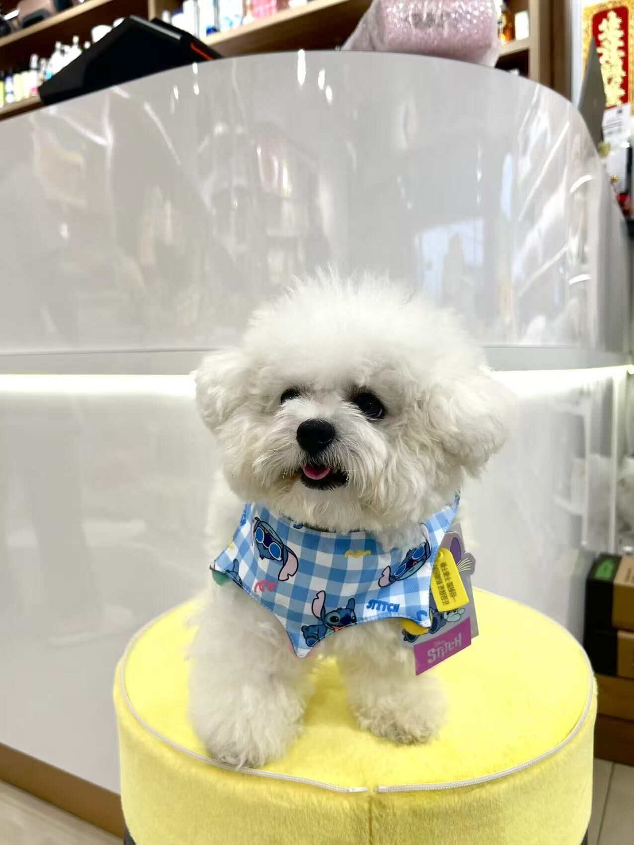 迪士尼 史迪奇星际宝贝系列 双面满印 口水巾