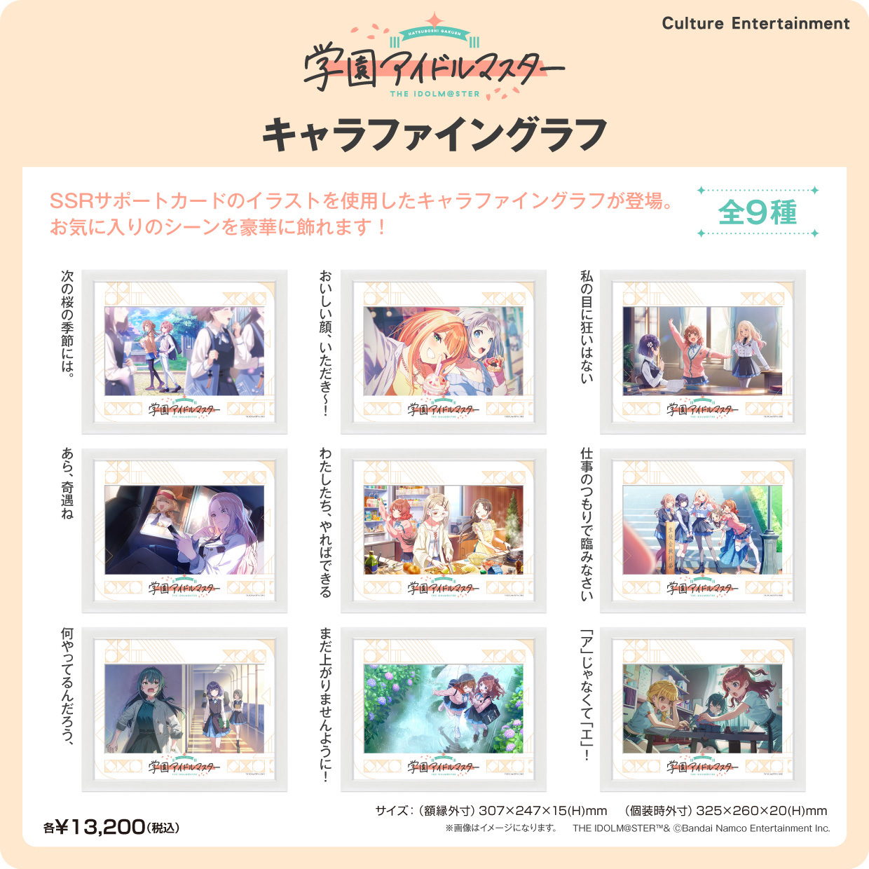 「ACG.GO」【再販】學園偶像大師 角色精細畫板 (Chara Fine Graph)｜官方高品質收藏周邊