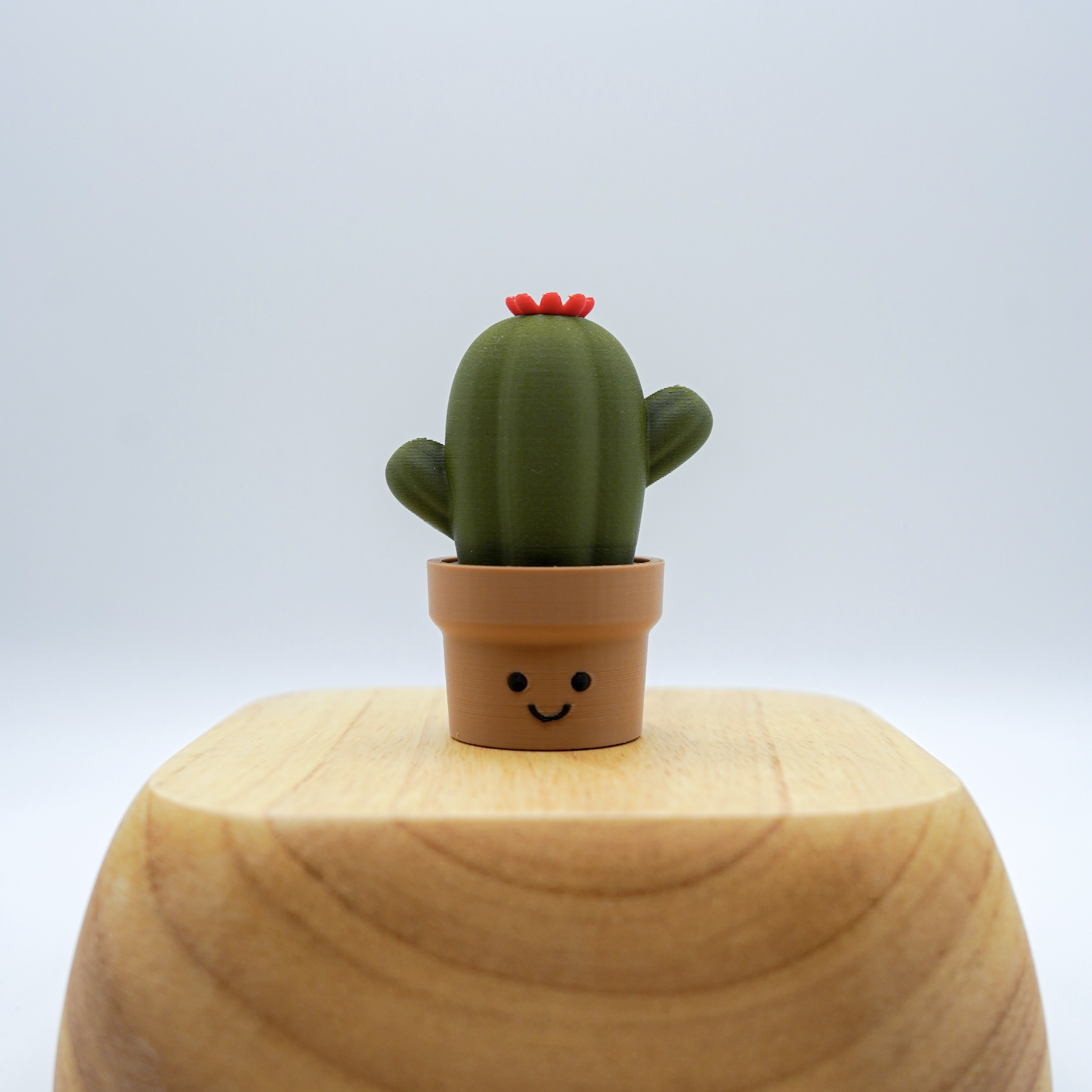 微笑星球 - 仙人掌 | 解壓按鍵