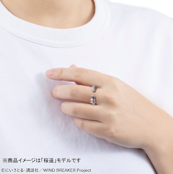 [代購][預訂] WIND BREAKER 貓貓 飾物