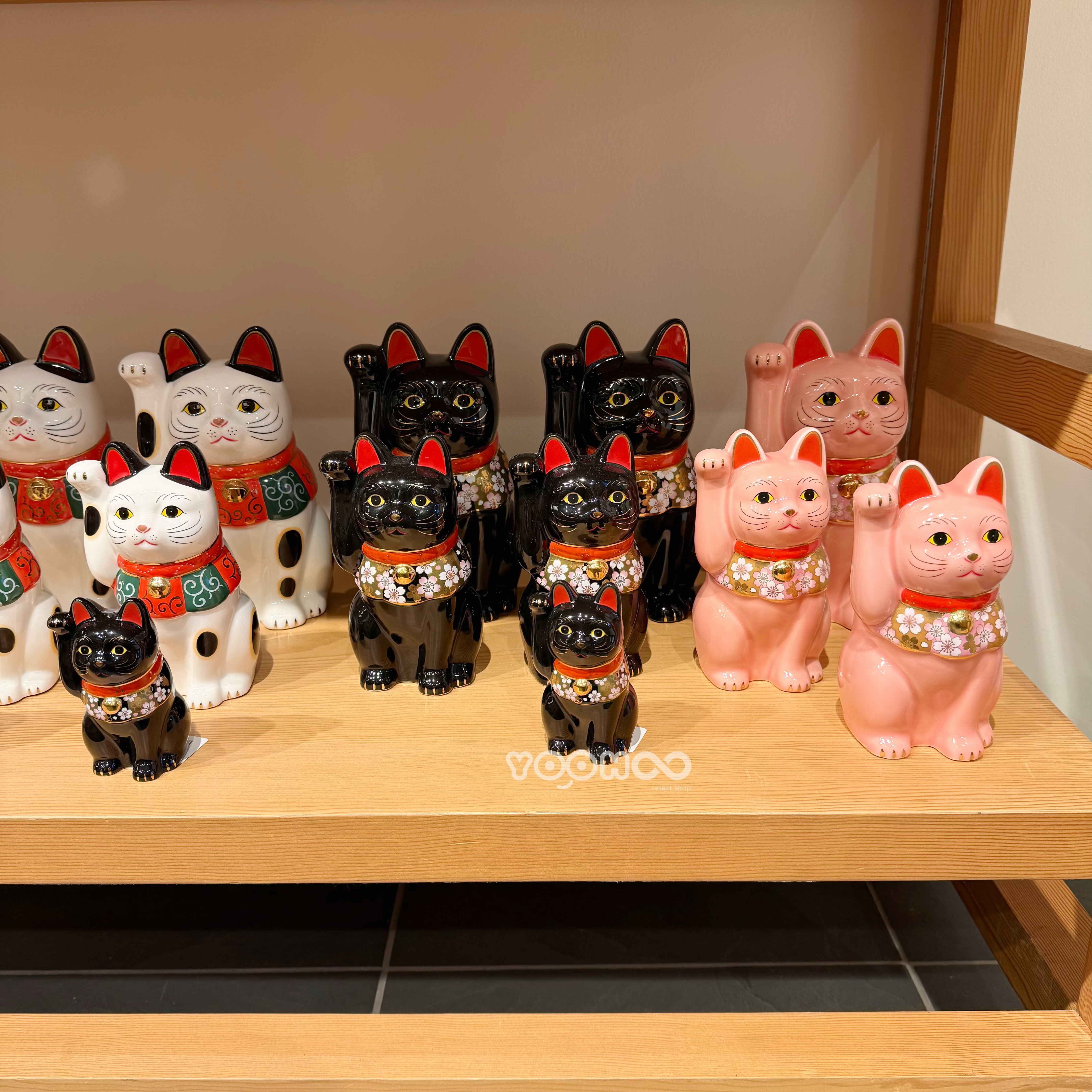 預購┃中外陶園 薬師窯 櫻花 招財貓