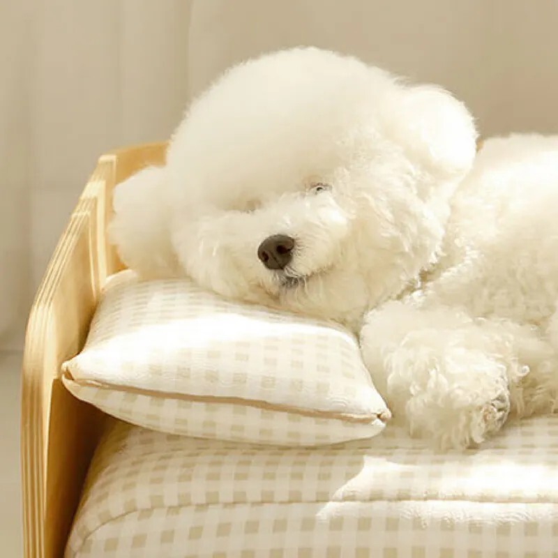 Mooayou 雪糕 ｜格紋涼感枕頭 二色