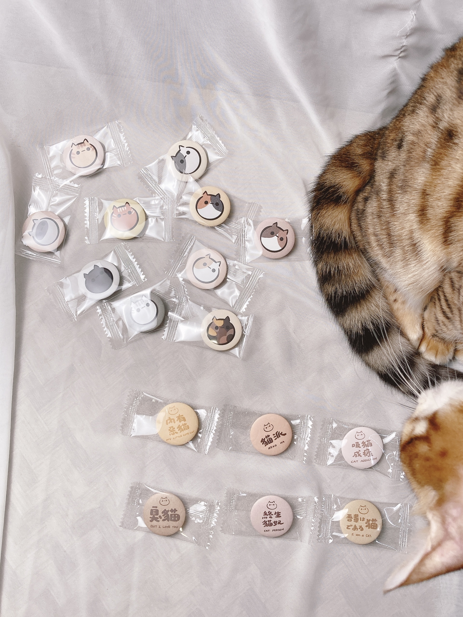 嗨賴 x LUMOS | Neko's cookie-pin