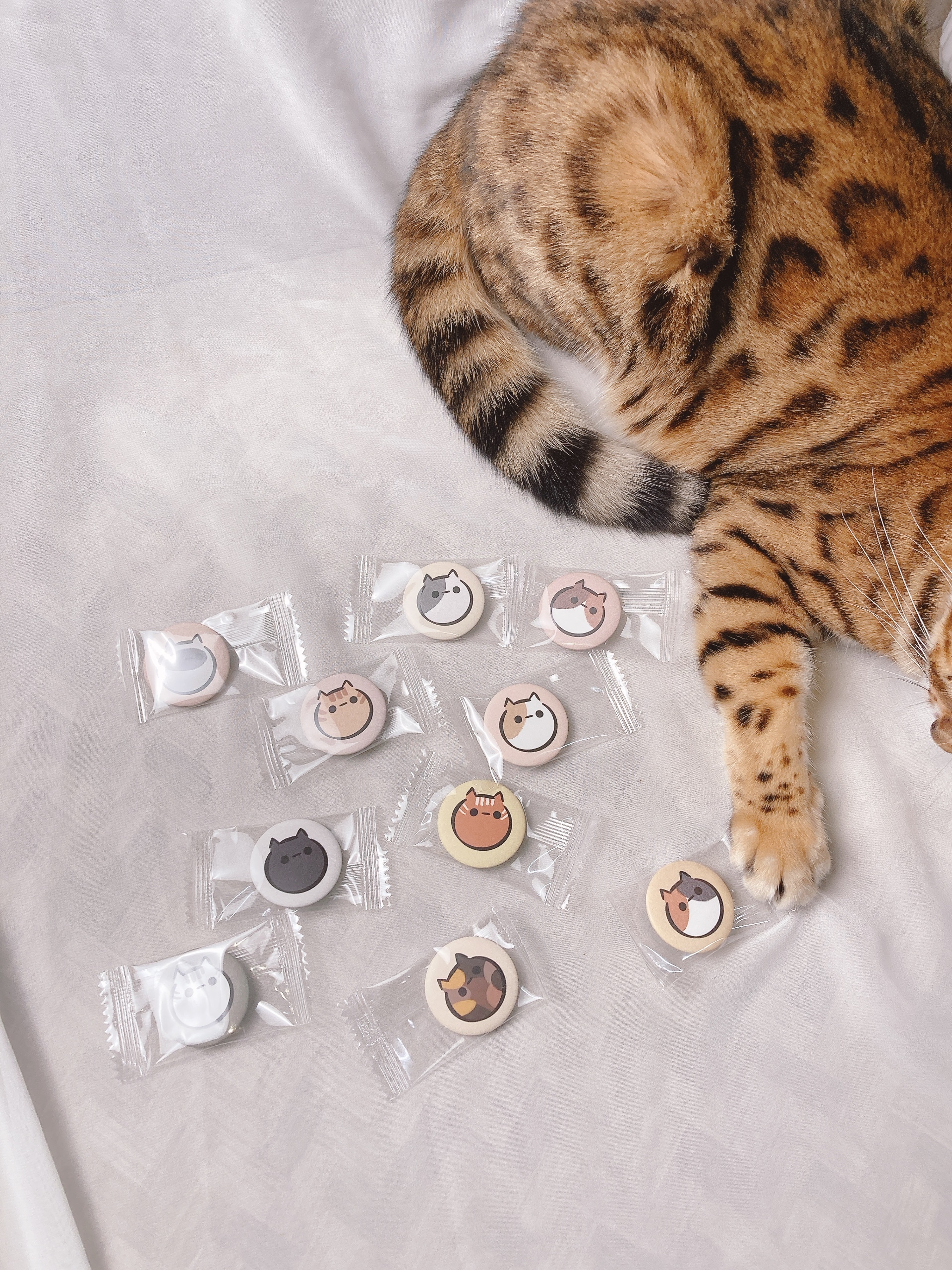 嗨賴 x LUMOS | Neko's cookie-pin