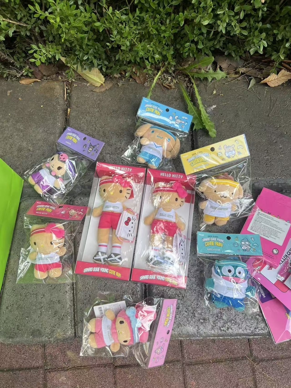 聯名款 Olive Young x Sanrio Cutie Run 系列 三麗鷗 夏日馬拉松 長腿kitty