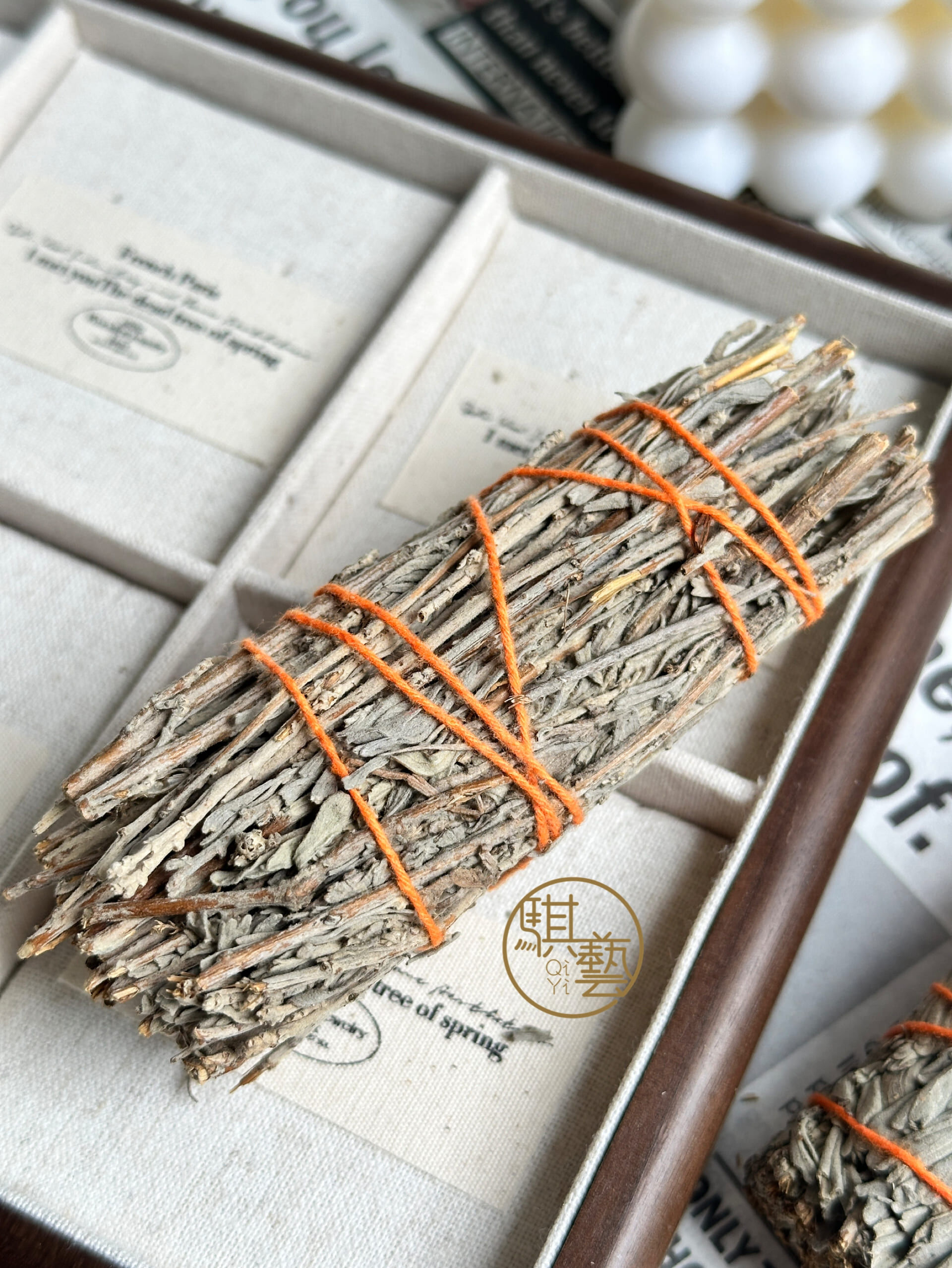 白鼠尾草 & 藍鼠尾草｜淨化能量草本