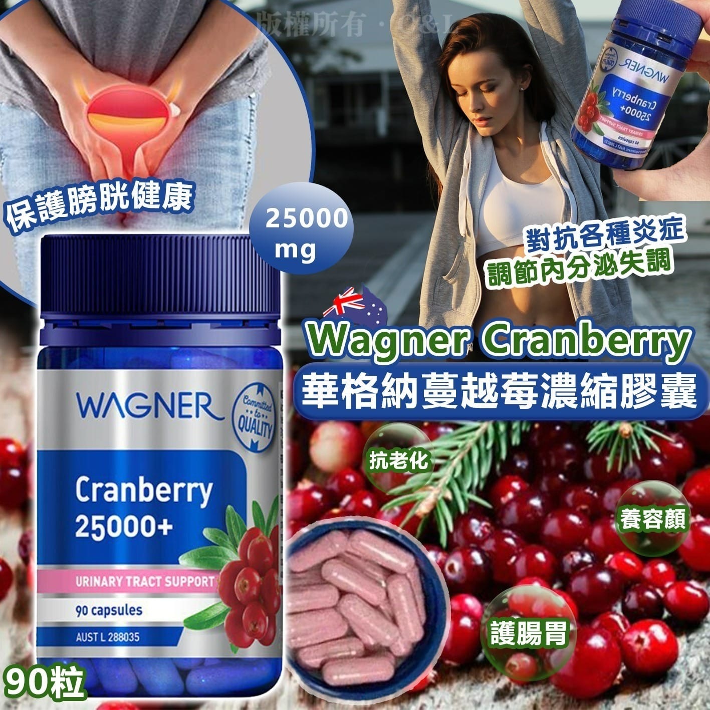 澳洲Wagner Cranberry華格納蔓越莓濃縮膠囊25000mg 90粒